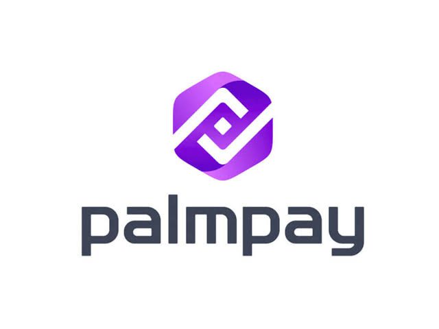 PalmPay Review