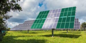 Sahara Group calls for investment in Africa's renewable energy transition