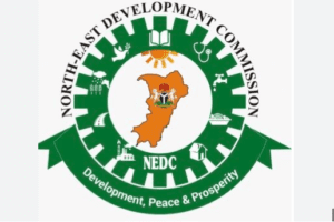 NEDC to use ICT To build capacity for job creation