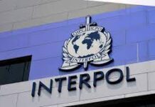 Interpol blocks 208 accounts, arrests 103 for Cyberfraud in West Africa
