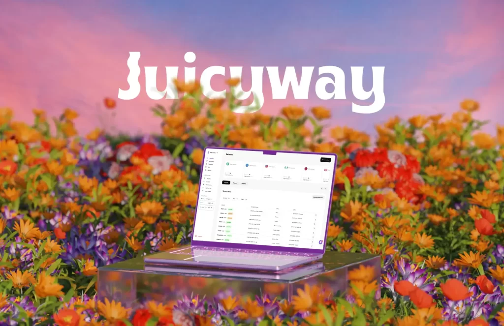 Juicyway secures $3 million to solve Nigeria’s cross-border payment problem