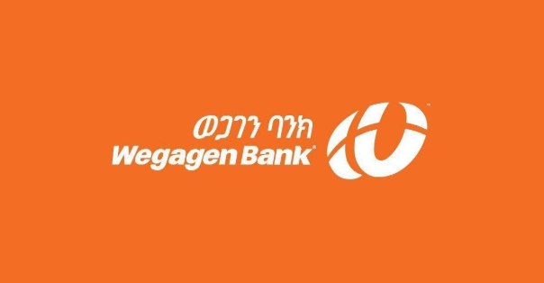 Ethiopia’s Wegagen Capital appoints Brutawit Dawit as CEO