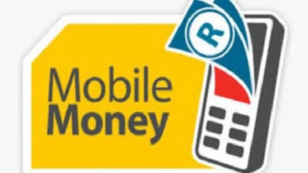 Global mobile money accounts exceed 2 billion, Sub-Saharan Africa leads in active users
