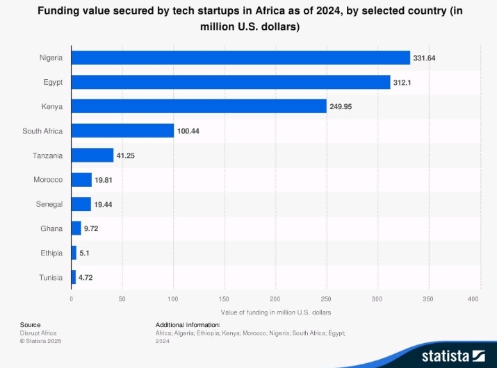 Figure 1: Venture Capitalist African Investment Distribution in 2024 (Source: Statista)