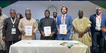 Sun King, REA partner to boost access to clean energy