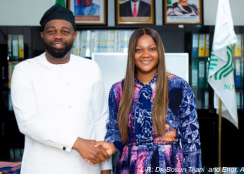 Nigeria links digital ID to health system
