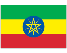 Ethiopia launches Ethiopay, outlines plan for outbound cross-border remittances