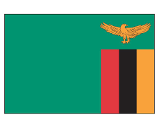 Zambia unveils online passport application system on GSB