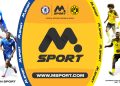 MSport BANNER