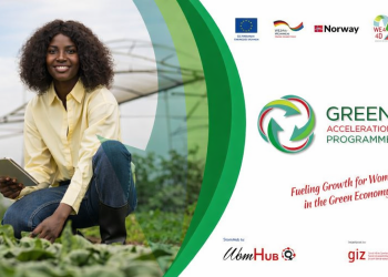 WomHub’s Green Acceleration: Apply Now!