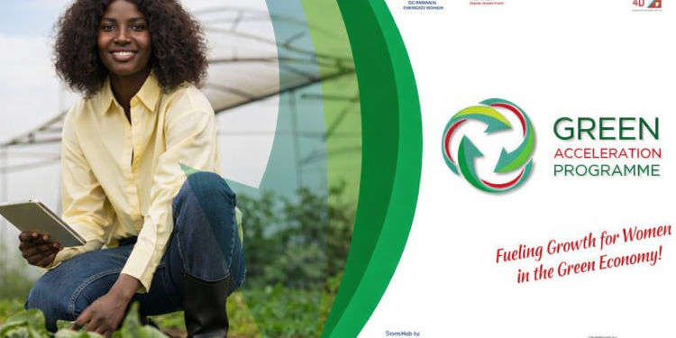 WomHub’s Green Acceleration: Apply Now!
