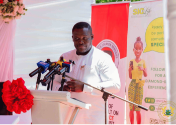 Ghana Launches iCOLMS-GH to Regulate Courier Sector