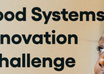 Solve Africa’s Food Crisis: Applications Open for GBHub Food Systems Innovation Challenge