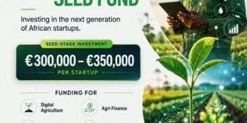 Digital Africa