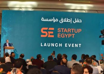 Egypt Startup Programme