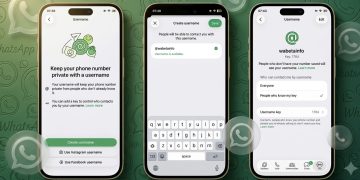 WhatsApp usernames