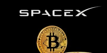 Why the failed SpaceX token sale is a warning for tokenised markets