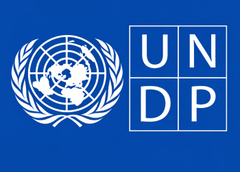 UNDP remote internships