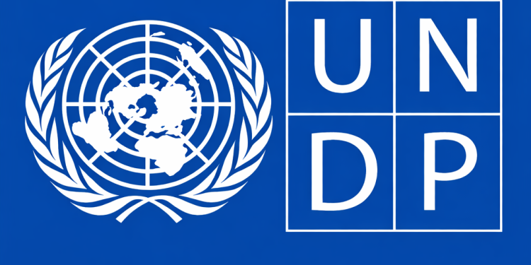 UNDP remote internships