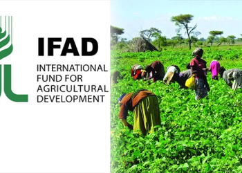 IFAD