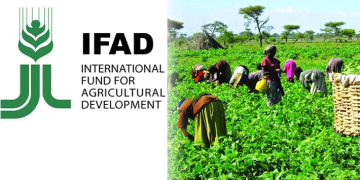 IFAD