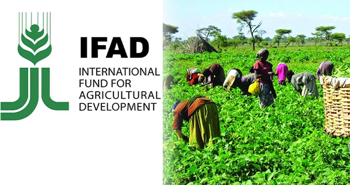 IFAD