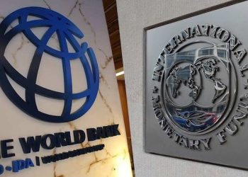 IMF: Nigeria's stablecoin surge is putting pressure on the naira